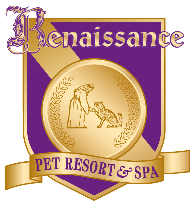 Andere plaatsen Dicht schroot Renaissance Pet Resort and Spa – Day Care, Overnight boarding, Bathing,  Grooming in Banning, CA