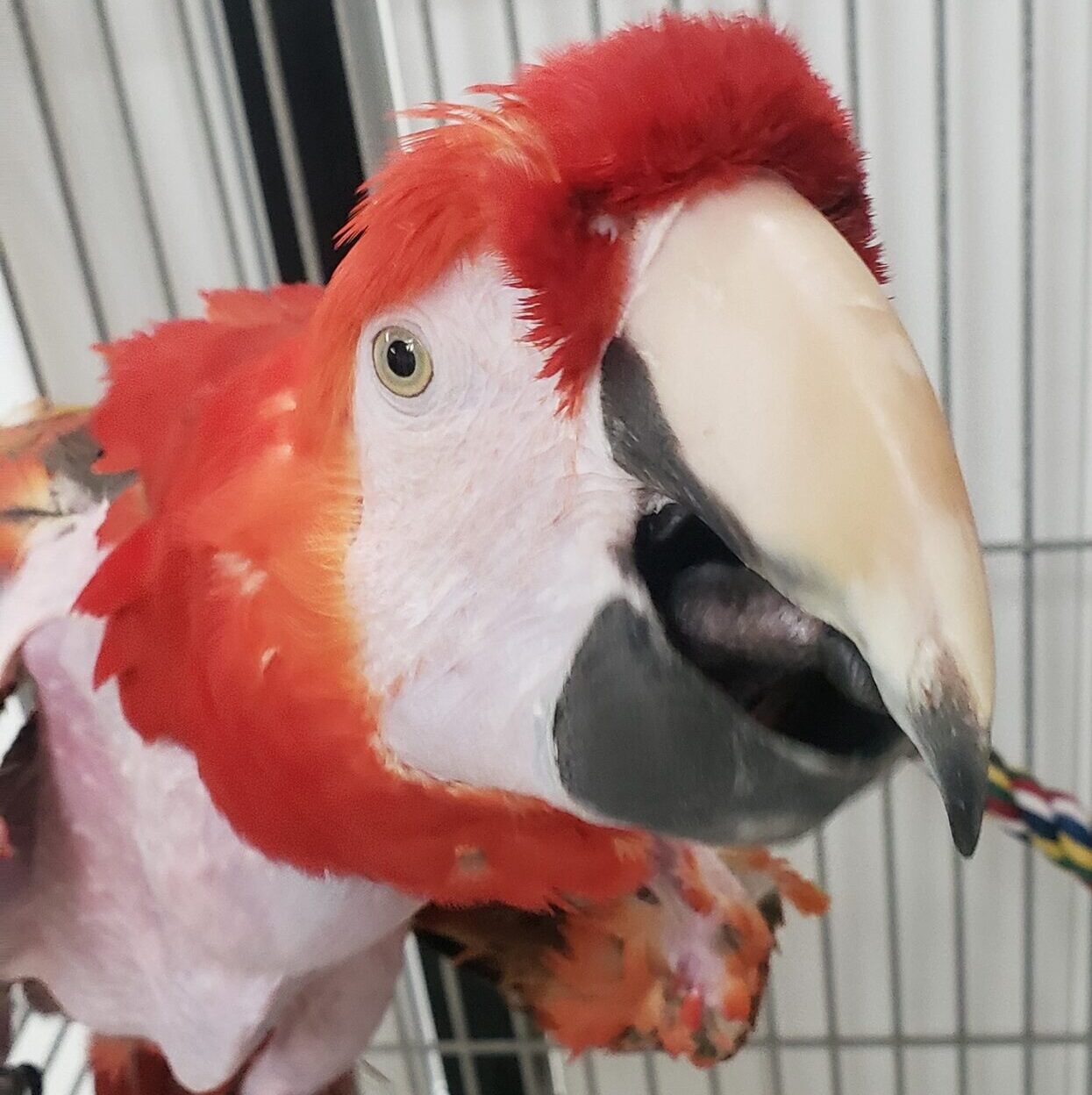 https://renaissancepetresort.com/wp-content/uploads/2021/09/renaissance_pet_resort_and_spa_guest_july_23-scaled-e1631295887816.jpg