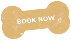 https://renaissancepetresort.com/wp-content/uploads/2021/09/text_01.png